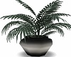 Steel Potted Palm