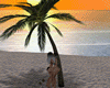 Animated Palm Tree Kiss