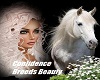 Confidence Breeds Beauty