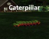 [BD]Caterpillar