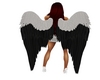 blk/white Wings