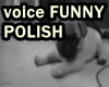 Voice Polskie