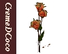 CDC-Fiji Breeze-Roses1