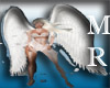 Angel Fit & Wings
