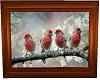 Cardinals picture