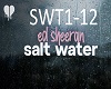 salt water1-12