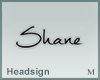 Headsign Shane