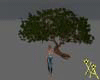 X♡A maple tree V1