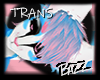 Trans | M | Hair 3