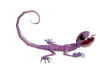 GECO ANIMATED XXIV