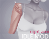 Idle Mod Right Arm [8c]