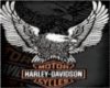 Harley Club