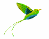(JAC) Kolibrie