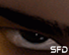 SFD Brows