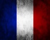 [S] French Flag