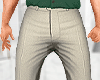 Beige Slacks