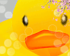 Kids Duck Duckie Float