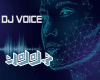 DJ Voice Max Volume