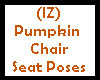 (IZ) Pumpkin Chair Seat