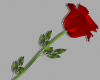 Love Rose | Red