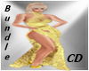 CD Gold Dress Mir Bundle
