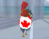 Canadian Rooster