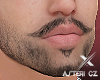 ❌ Asteri beard v13