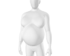 Belly/Fat Body