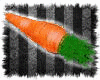 *Carrot- M/F*