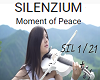C* Silenzium + violon