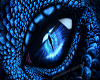 Blue Sapphire Dragon