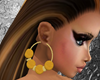 (mng)bella earrings