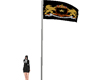Flag NKSE
