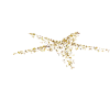 Xmas Star Floor