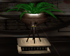 [CI]Elegant Plant 5