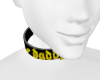 Gold Daddy Collar