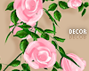 T | Pink Rose Vine
