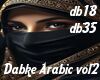 Dabke Arabic vol2