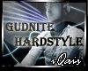 Gudnite Hardstyle DJ