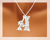 [DF] A silver necklace