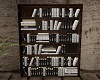 Cafe Library Bookcase