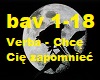 Verba -Chce Cie zapomnic