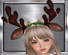 {R} Diadem Reindeer F