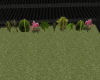 Add On Backyard v2