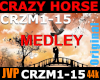 Crazy Horse Medley 🤍
