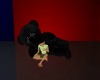 Black Teddy Cuddle Pose