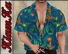 Camisa hawaiiana