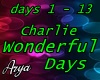 Charlie Wonderful Days