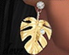 Tropical Gold Earrings