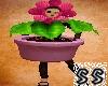 Pink Flower Pot Outfit